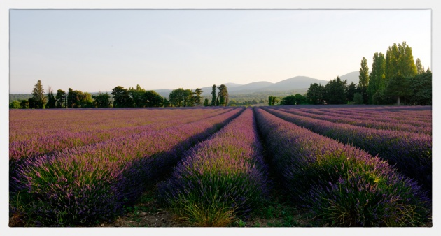 Provence-17__217_Web